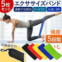 エクササイズバンド 5種セット 収納袋 筋トレ トレーニング ゴムバンド ゴムベルト ストレッチ ヨガ ダイエット 美尻 エクササイズ ジム リハビリ フィットネス チューブ ループバンド シェイプアップ向き リハビリ 介護予防 便利グッズ 丸洗い