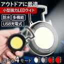 株式会社Eジャパン LED ライト 照明器具 小型 USB 充電式