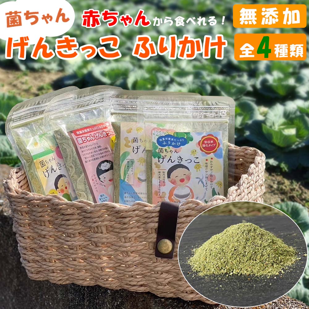 三島食品 菜めし 16g×10個 【KKコード1963123】