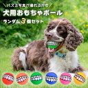 犬用おもちゃ ボール ランダム色3個セット SNS映え 音がなる ソフトゴムボール 歯 面白い いい写真が撮れる インスタ映え ユニークペット用おもちゃ 6色 ...