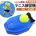 テニス 練習 テニス練習機 上達 サーブ 一人 場所 器具 子ども 中級 自宅 簡単 スピン トレーニング 自主練習 初心者 自宅 部活 大人 レシーブ 人気 ...