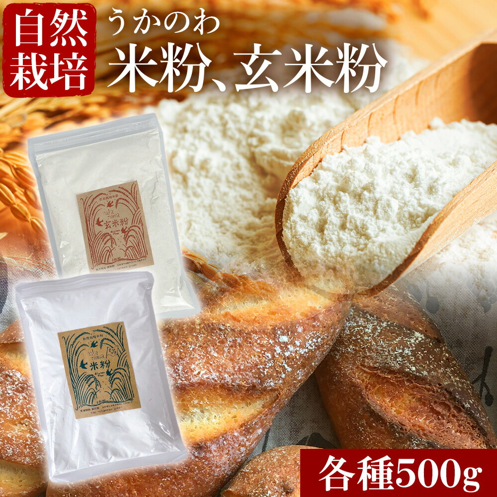 ＼全商品ポイント5倍／ 米粉 玄米粉 グルテンフリー 自然栽培 無添加 無農薬 麺 そば うどん ラーメン パスタ パン お菓子作り クッキー 料理に 薄力粉代わり 国産 美味しい