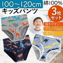 \全商品ポイント5倍/ キッズパンツ 3枚セット ショーツ 下着 アンダーウェア パンツ 子供 キッズ 男の子 セット 通年 通学 おしゃれ 綿100% 子ども...