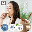 プロテイン ソイプロテイン おいしい 国内製造 人工甘味料不使用 女性 無添加 お試し 鉄分 ダイエット ココア チョコ 大豆プロテイン 人工甘味料不使用プロテイン 置き換え 置き換えダイエット タンパク質 美味しい 美容プロテイン 低脂質 低糖質 国産