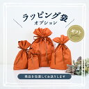 ラッピング袋 ギフト カードケース ラッピング ギフトラッピング 卒業祝 成人式 入社祝 誕生日 バースデー 記念品 入学祝 進学祝 クリスマス プレゼント 父の日 母の日 結婚記念日 記念日 バレンタインデー ホワイトデー