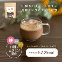 プロテイン ソイプロテイン 人工甘味料不使用 女性 無添加 お試し 鉄分 ダイエット ココア チョコ プロテインドリンク 大豆プロテイン 人工甘味料不使用プロテイン 置き換え 置き換えダイエット タンパク質 美容プロテイン 低脂質 低糖質