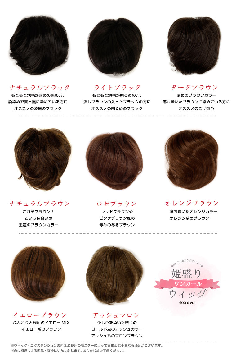 ウィッグ ポニーテール 和装 シニヨン ヘアピース つけ毛 付け毛 かつら 送料無料 お団子 着物 髪型 留袖 「姫盛 ウィッグ（ワンカール）」 シニヨン 和装 ウィック お祭り 浴衣 髪型 着物 結婚式 ヘアスタイル アップスタイル お団子