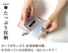 40枚収納「名刺入れ本革調シンプルカードケース」レディースレザーポイントカードクレジットカードかわいいお揃い名刺収納カード収納透明コンパクト名刺ホルダーレディースシボゴールドカードホルダーカード入れ40枚以上【メール便送料無料】