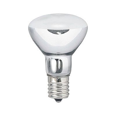 Ǯŵ E17 ߥ˥յ R451730L ߥ˥յ30W Ĺ̿ E17 YAZAWA(䥶拾ݥ졼