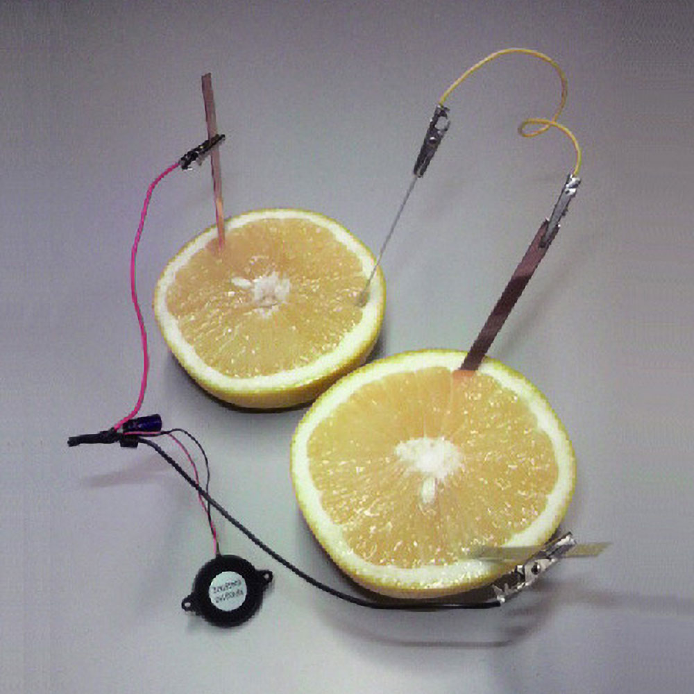 ●「ボルタ式電池」の実験ができるシンプルなセットです。どのような液体で音がなるのかを実験して確認するセットです。●塩水やレモン水などの液体や、野菜・果物などで実験ができます。●電気が流れると“かっこう”のメロディーが流れます。■セット内容　　電極板（銅板・亜鉛板）各2枚、圧電ブザー1個（コード接続済み）、クリップ付接続用コード1本■電圧：MAX30Vp-P■電流：MAX12mAメーカー取寄品