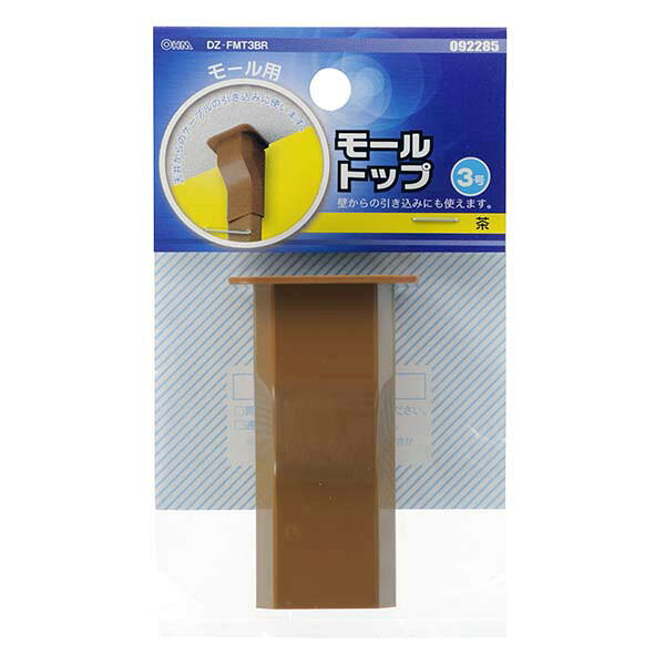 モールパーツ イリズミ モール用トップ（茶/3号）_09-2285_DZ-FMT3BR_OHM（オーム電機）