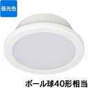 LED~jV[OCg 40` 620[ FbLE-Y6DG-W 06-5502 I[d@