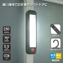 多目的作業ライト(COB LED/昼光色/250 lm/単3形×4本使用/連続点灯5.5時間)_08-0876_SL-W300R6C_OHM(オーム電機)