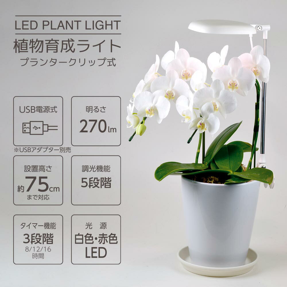Rakuten - 植物育成ライト プランタークリップ式｜TT-YG02NA1A-W 06-5238 オーム電機 OHM
