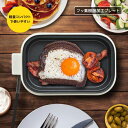 ミニホットプレート(500W/フッ素樹脂プレート/コード長1.1m/質量520g/ホワイト)_08-5403_COK-YH500B-W_OHM(オーム電機)