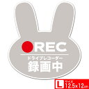 送料無料 うさぎシルエット ステッカー シール 12.5x12cm ドライブレコーダー録画中 REC Lサイズ あおり運転対策L EXPROUD B0824GVXPH