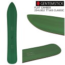 25-26 ゲンテンスティック 2441002 ティーティー クラシック 165 GENTEMSTICK T.T CLASSIC 165 国産 フラットキャンバ...
