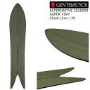 25-26 ゲンテンスティック 2425009 スーパーフィッシュ クラウドライナー 176 GENTEMSTICK SUPER FISH CLOUDLINER...