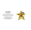 amp japan ץѥ 8AH-174g Gold Star PierceAMP JAPAN   ԥ  ǥפ򸫤
