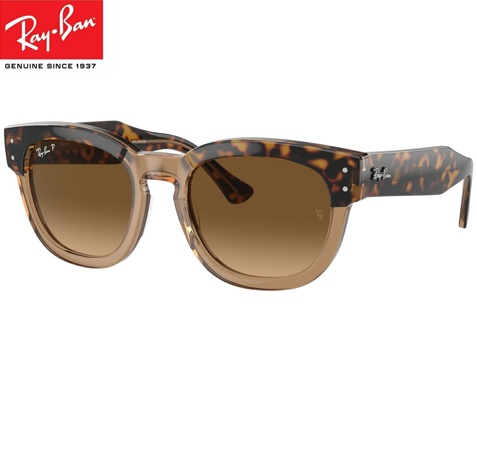 Co TOX Ray-Ban RB0298SF 1292/M2i53TCYj [J[ۏ؏t