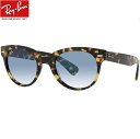 Co TOX Ray-Ban RB2199F 13323Fi52TCY) [J[ۏ؏t