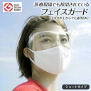 【年中無休 あす楽】医療用 アイケア フェイスガード ショートタイプ 3枚セット フェイスシールド メガネ オーバーグラス 飛沫 感染 予防 対策 防止 くもり止め エリカオプチカル レディース メンズ 男性 女性