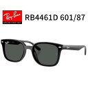 RayBan レイバン【RB4461D 601/87】サングラス 64...(4)