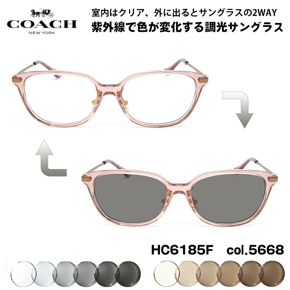 COACH 調光 サングラス HC6185F 5668 54mm アジアンフィット コーチ 国内正規品