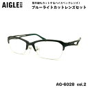 エーグル 伊達 ダテメガネ AG-6028 col.2 55mm AIGLE ブルーライトカット UVカット