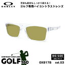 大きいサイズ オークリー サングラス ゴルフ OX8178 03 57mm OAKLEY RAFTER ラフター UVカット 紫外線カット