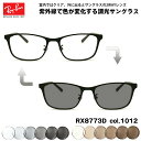 レイバン 調光 サングラス RX8773D (RB8773D) 1012 53mm Ray-Ban アジアモデル UVカット 色が変わる(4)
