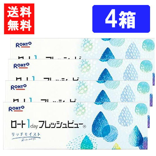 ロート ワンデーフレッシュビュー リッチモイスト 30枚入 ×4箱 送料無料 RHOTO 1DAY フレッシュビュー