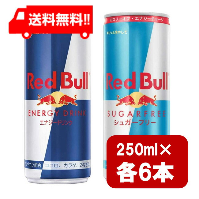 レッドブル　シュガーフリーのセット レッドブル250ml×6本 シュガーフリー250ml×6本 2種類セット 炭酸飲料 栄養ドリンク Red Bull 翼をさずける カフェイン redbull 炭酸缶