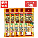 ニッスイ 濃厚チーズかまぼこ 30g×4本 ×5袋 おつまみ ちーかま チーカマ チーかま