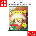 送料無料 ケンミン ライスペーパー 120g 10袋 家庭用 簡単 インスタント ライスペーパー お米(4)