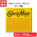 送料無料 大塚製薬 カロリーメイト ブロック チーズ 4本×60箱 2ケース 栄養 空腹解消 手軽 チーズ味
