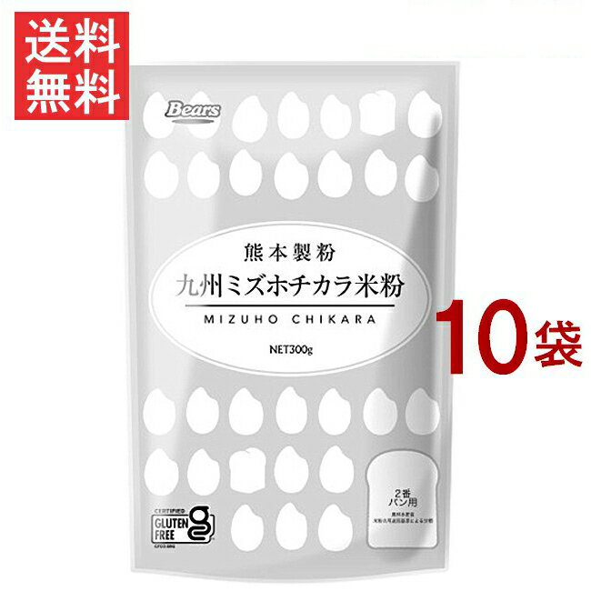 九州ミズホチカラ米粉 300g×10袋 グルテンフリー 熊本製粉 九州産 ミズホチカラ100% 1