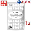九州ミズホチカラ米粉 300g×1袋 グルテンフリー 熊本製粉 九州産 ミズホチカラ100% 送料無料