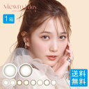 ビュームワンデー Viewm 1day (1箱10枚入り)×1箱