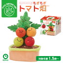 もぎもぎトマト畑|知育 ソフトトイ 赤ちゃん ベビー おもちゃ 出産祝い ファインモータートイ 指先トレーニング 食育 ごっこ遊び 野菜収穫 トマト ミニファー...