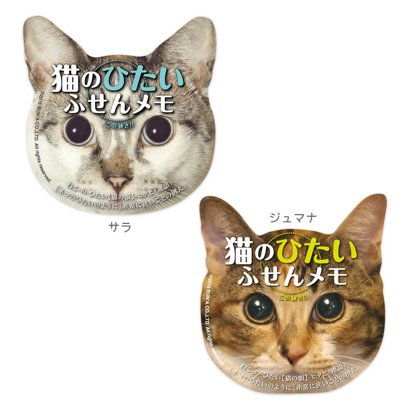 猫のひたい　付箋メモVol.2【メール便可】