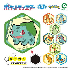 ポケットモンスター ハニカムアクリルマグネット vol.6 | ポケモン pokemon フシギダネ ヒトカゲ ゼニガメ チコリータ ヒノアラシ ワニノコ キモリ アチャモ ミズゴロウ 御三家 マグネット 磁石 アクリル コレクション コレクタブル