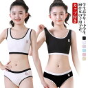 キッズ パッド付き 上下セット 子供 カップ付き ショーツ ブラジャー ジュニア下着セット リブ 大人 無地 ブラジャー 送料無料 セットアップ 中学生 女の子...