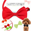 2点セット チョーカー ペットグッズ 猫 パピー 犬グッズ リボン 首飾り 犬 お散歩 アクセサリー ペット用品 猫グッズ 送料無料 超小型犬 ペットグッズ ペ...