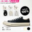 2̵ ɳ åȥ 塼졼COTTON SHOELACES 21ȡ CT70 С ϥå åƥ顼 ɳ 륹 Ҥ ơ ǥ ʥ   ܥ꡼פ򸫤