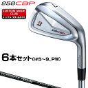 258CBP アイアン RAUNE IRON iカーボンシャフト 6本セット(I#5~9、PW) 【カスタムク