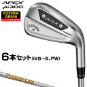 APEX Ai300 アイアン ダイナミックゴールド95スチールシャフト 6本セット(#5〜9、PW) 【カスタムクラブ 特注】 Callaway キャロウェイ...