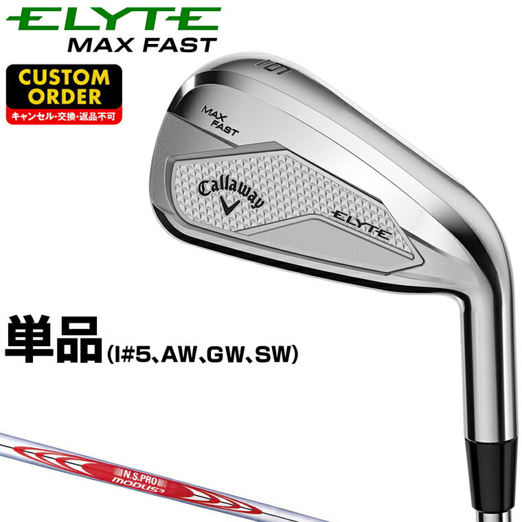 ELYTE MAX FAST  NSPRO MODUS3 TOUR120륷ե ñ(#5AWGWSW) ڥ...