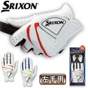 DUNLOP ダンロップ 日本正規品 SRIXON スリクソン メンズ ゴルフグローブ(左手用) 「 GGG-S014 」 