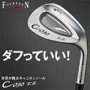 フォーティーン日本正規品C−030T.S. ウェッジ(ニッケルクロムメッキ・パールサテン仕上げ)スチールシャフト【あす楽対応】